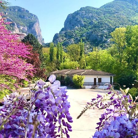 Hotel La Ginestra Acqualagna Dış mekan fotoğraf