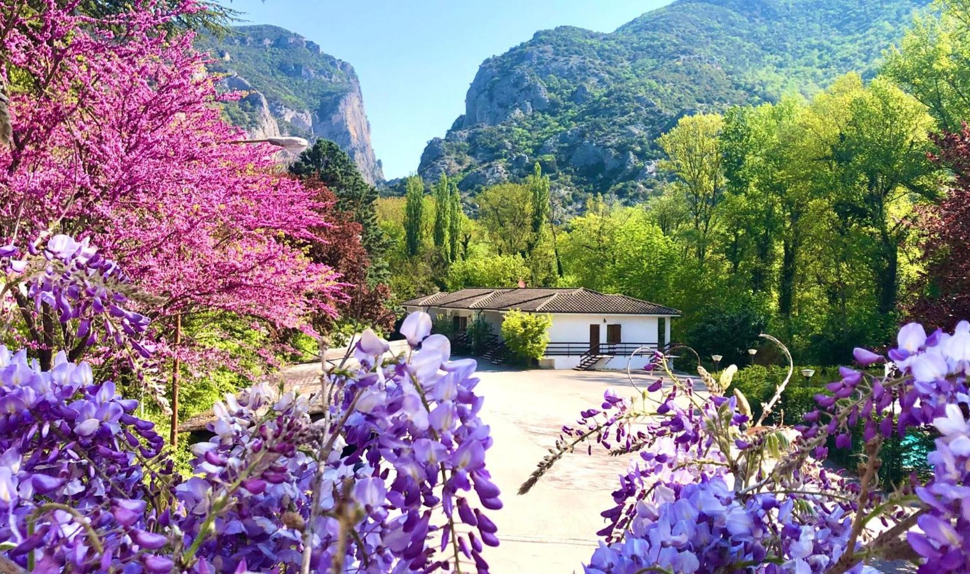 Hotel La Ginestra Acqualagna Dış mekan fotoğraf